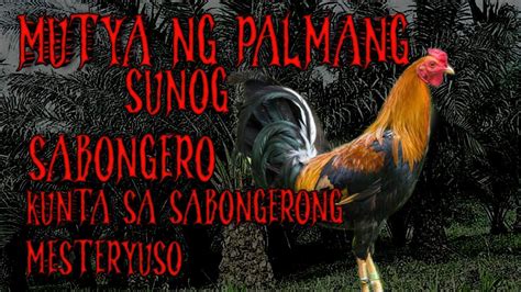 lo dyes sabong|WHAT AN INSPIRING SABONG STORY .